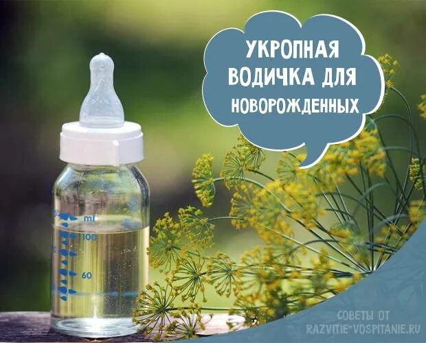 Укропная водичка. Укропная водичка для новорожденного. Укропную воду для новорожденного. Укропная вода для младенцев. Вода для новорожденных отзывы