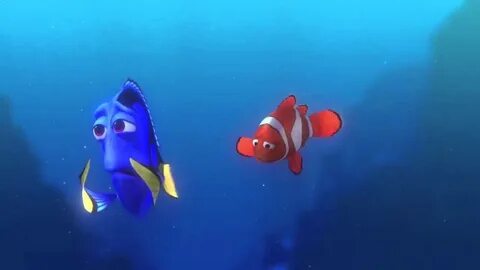 Dory marlin