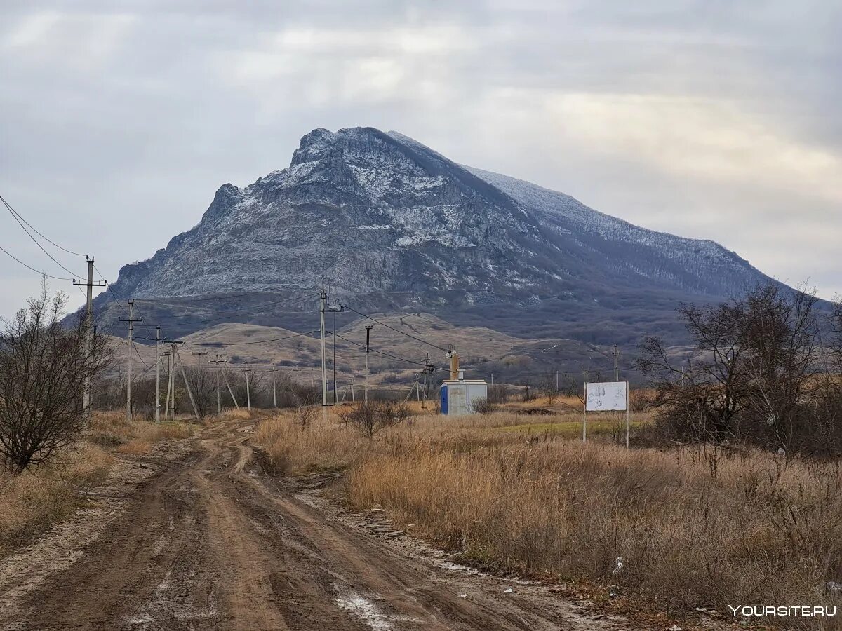 Змейка пятигорск