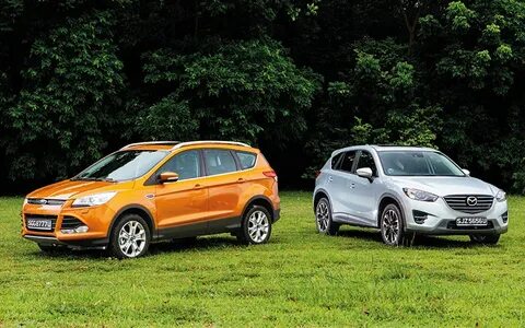 V kuga