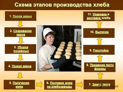 Последовательность приготовления хлеба