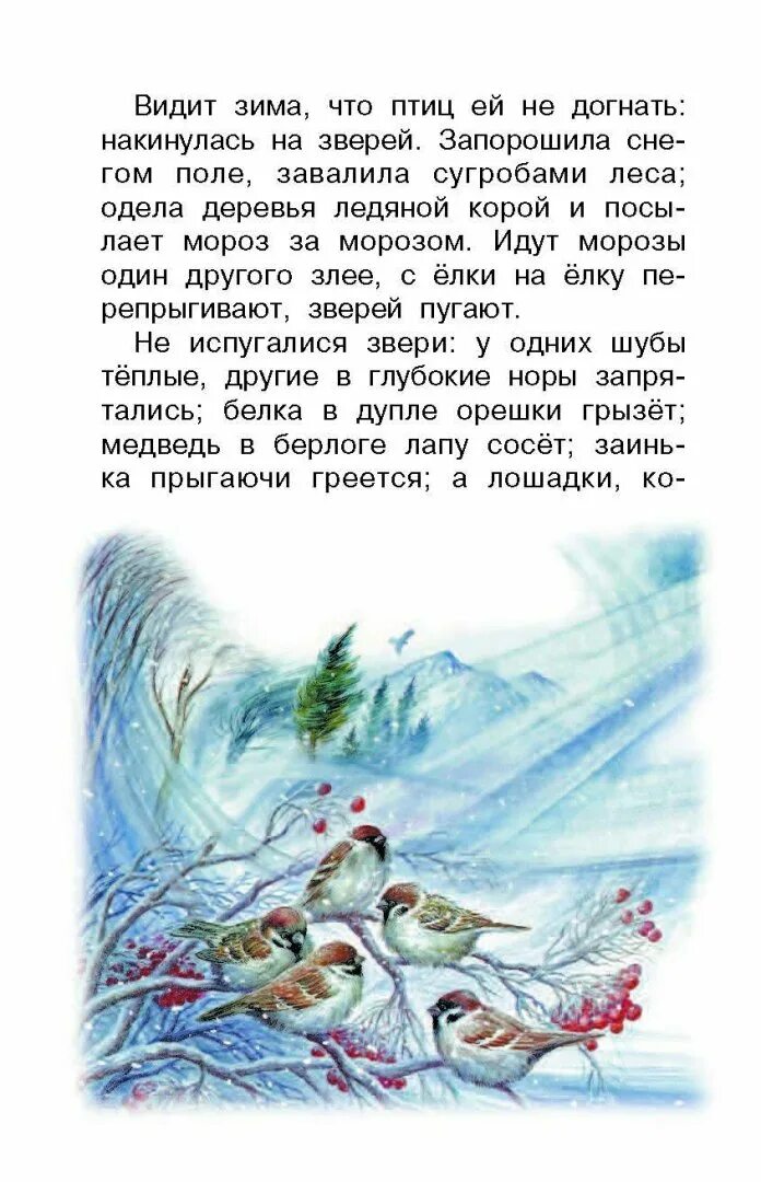 Рассказы старухи зимы. Ушинский рассказы проказы старухи зимы. ушинский о зиме для детей. зима ушинский читать. рассказ о лесе.