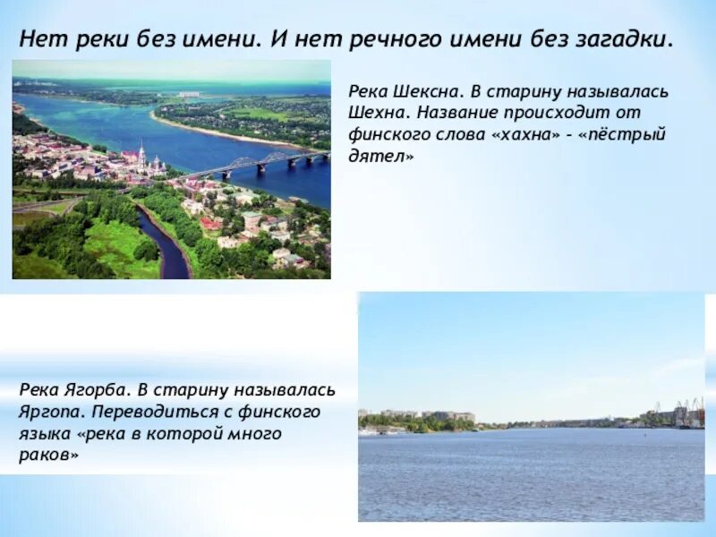 Оренбург какая река протекает в городе. Река Шексна Вологодская область. Рассказ о реке Вологодской области. Сообщение о реке Шексне. Река Шексна рассказ.