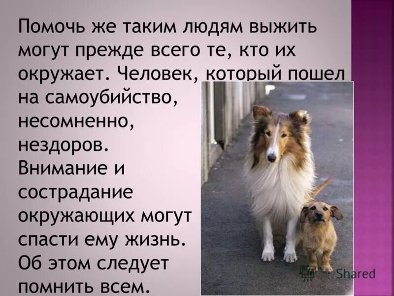 Цитаты окружай себя только теми людьми. Окружай себя только теми людьми которые будут тянуть тебя. Молчание и улыбка это два мощных оружия. Красивые фразы. Избавиться от лишних людей.