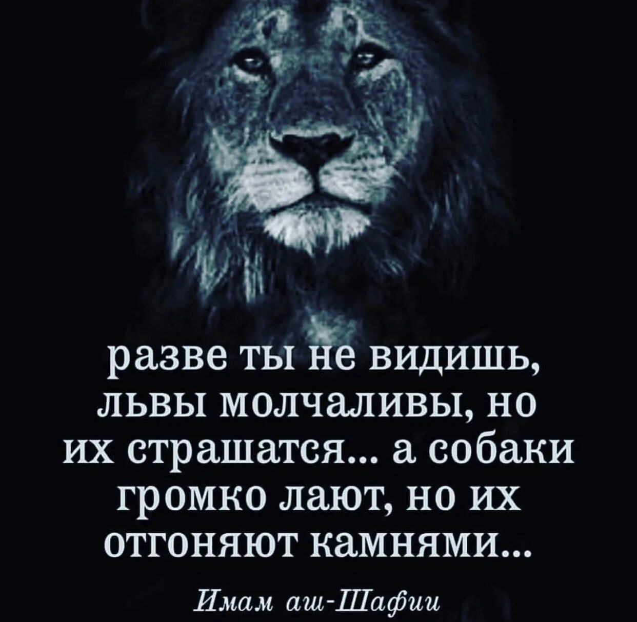 Бойся молчащего