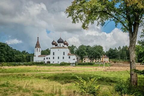 Ярославская область отзывы