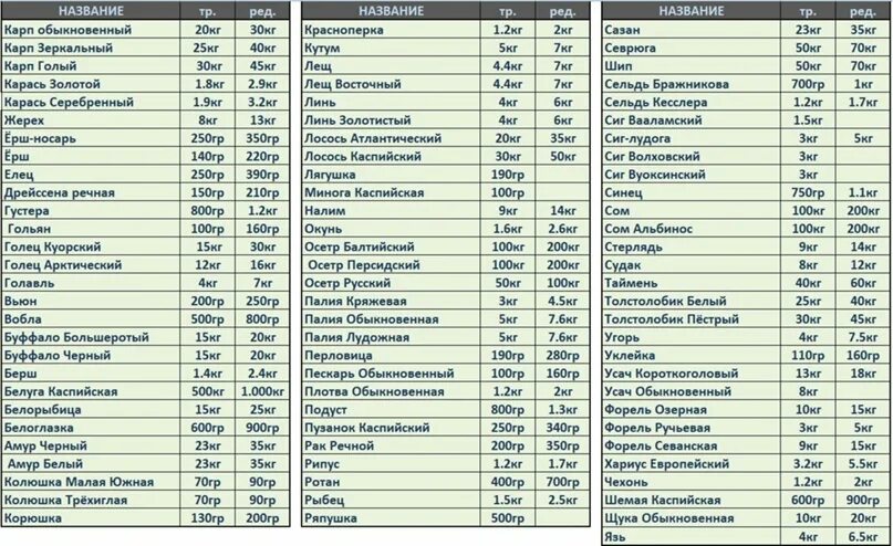 Таблица трофейного веса. Русская рыбалка 3 прикормки таблица. Русская рыбалка 4 прикормка таблица. Рр4 вес трофейных рыб таблица.