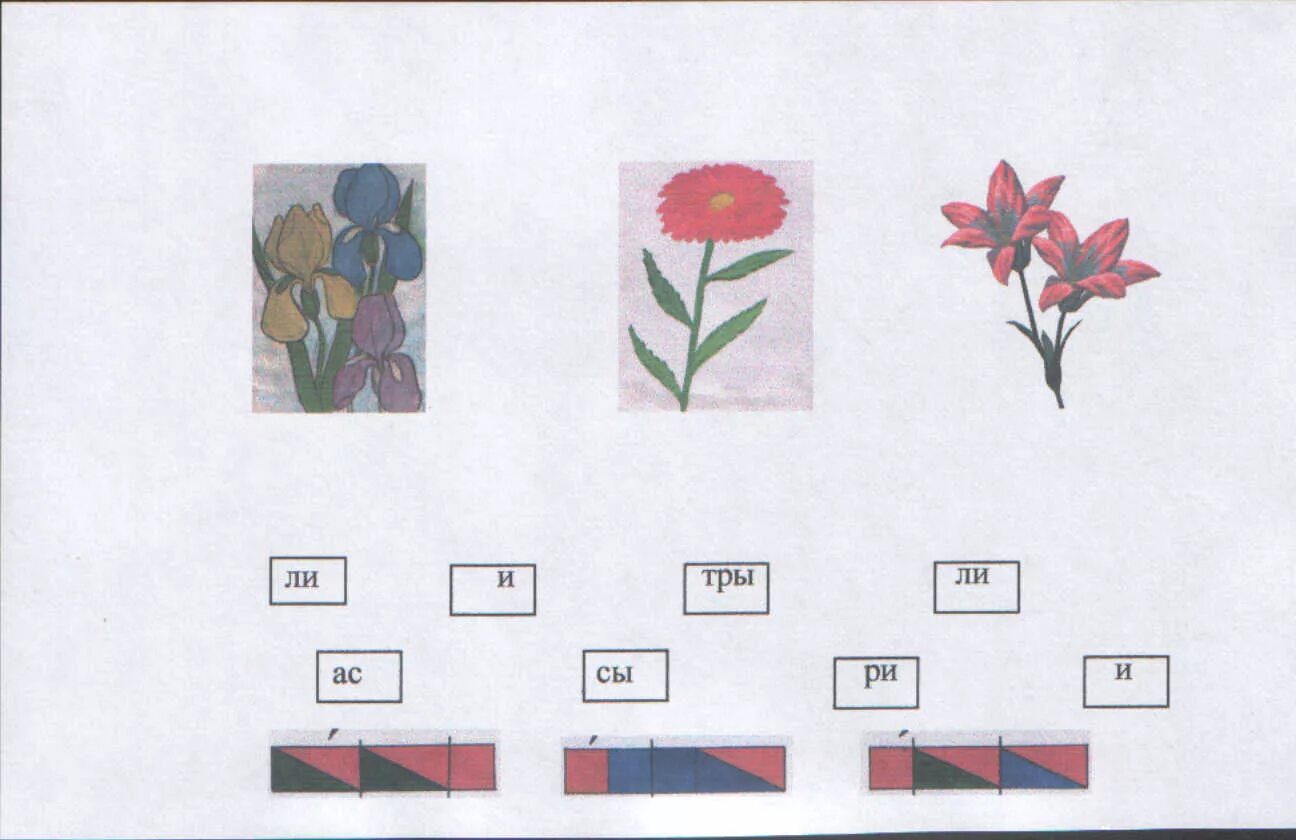 Слоговые схемы. Схемы 1 класс. Цветы звуковая схема. Цветовые схемы 1 класс.