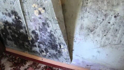 Промерзают углы в доме