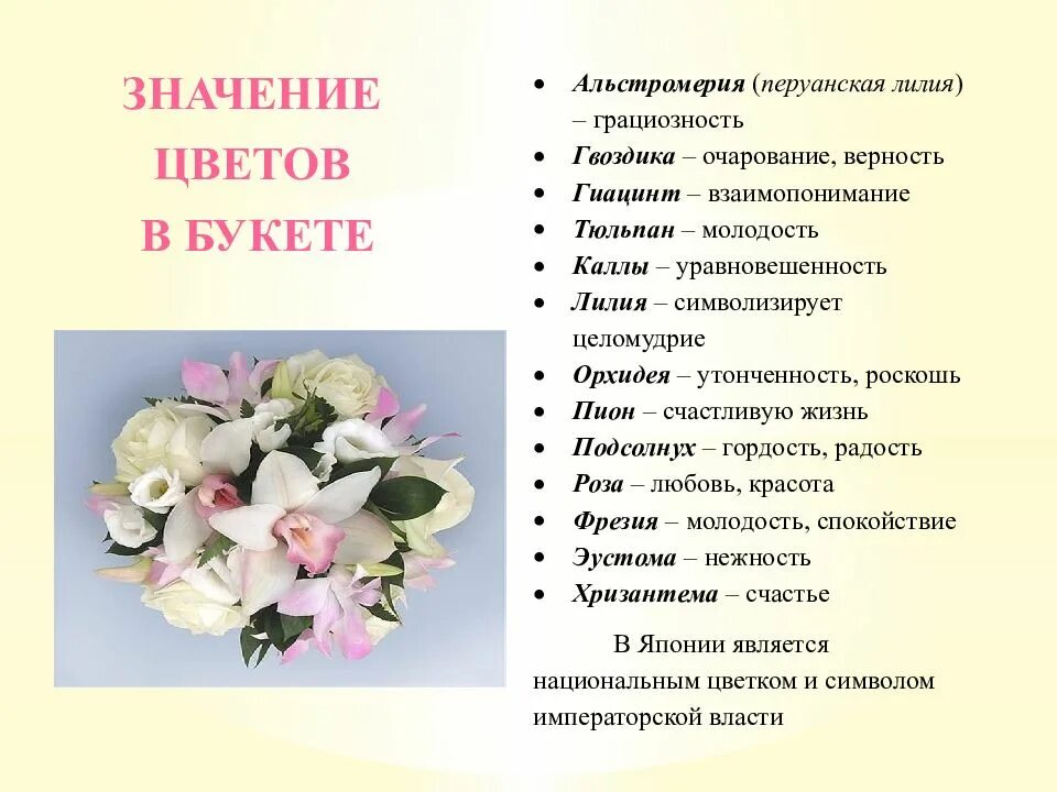 Цвети значение слова. Значение цветов в букете. Альстромерия значение цветка. Букет цветов на языке цветов. Альстромерия язык цветов.