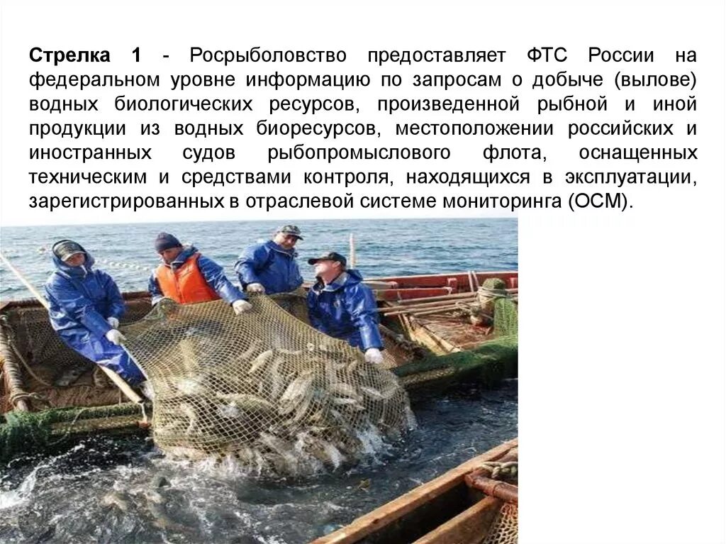 Добыча биологических ресурсов. Рыбная и иная продукция из водных биоресурсов. рыбоводство и охрана рыбных запасов. вылов вбр. структура росрыболовства.