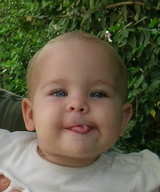 я для тебя горы сверну. смешной кот с языком в трубочку. язык в трубочку доминантный. свернуть способный. свернуть язык в трубочку.