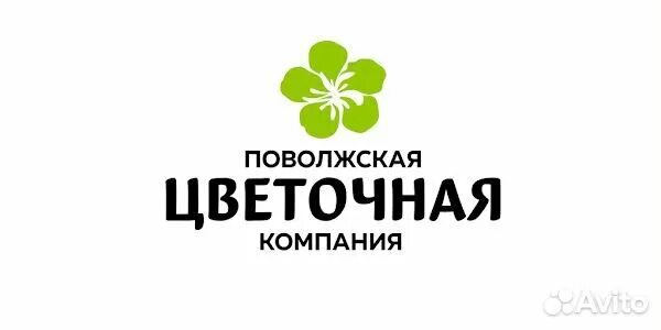 Поволжская Цветочная компания. Поволжская Цветочная компания в Тольятти. Цветочные фирмы. Компания цветов.