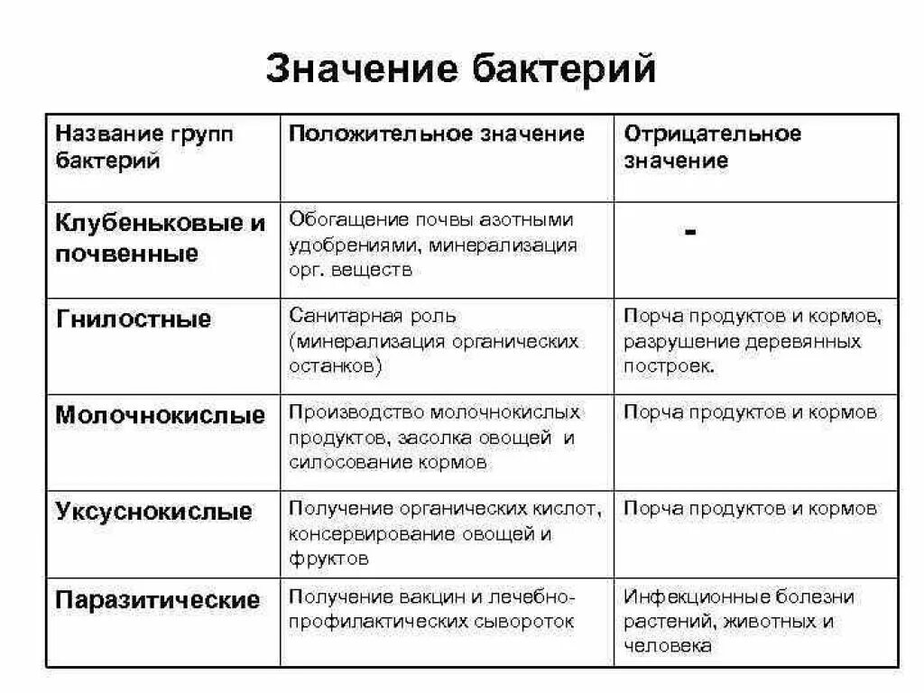 Многообразие бактерий 7 класс таблица по биологии. Группы бактерий таблица. Таблица по биологии 7 класс значение бактерий. Таблица по биологии название бактерий.