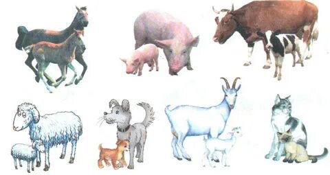 Душтағы бұлшықетті сору видео