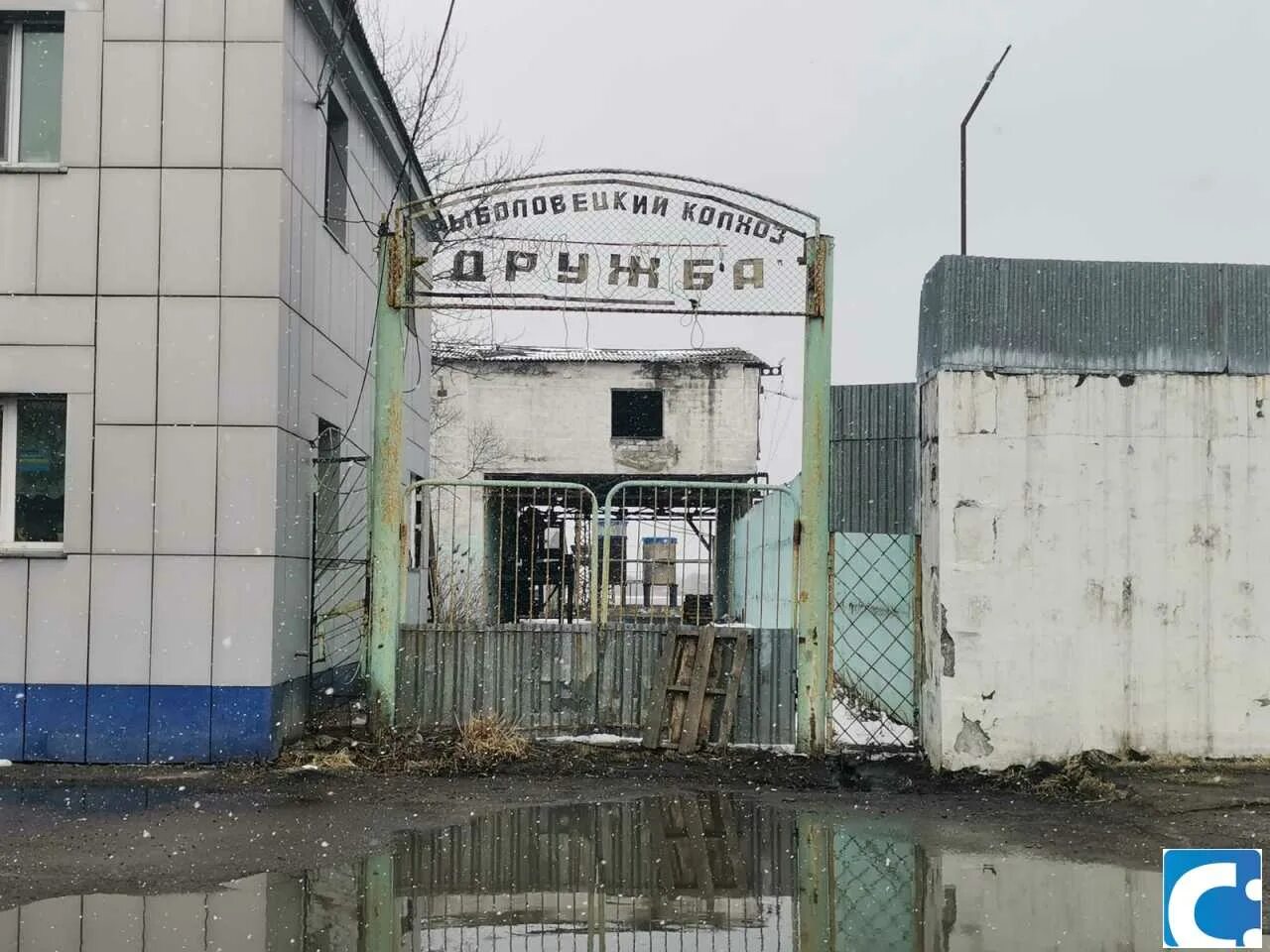 Колхоз банкрот. Сельское хозяйство витебской области. Колхоз горина. Колхоз банкрот. Мтз-80 трактор.