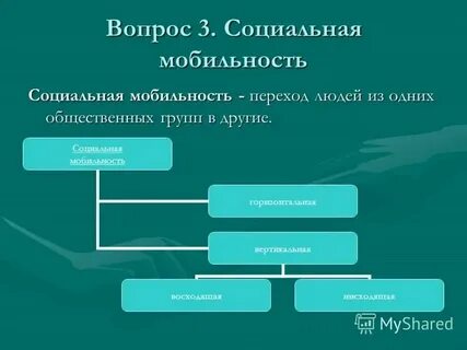 Сферы жизни общества социальная мобильность