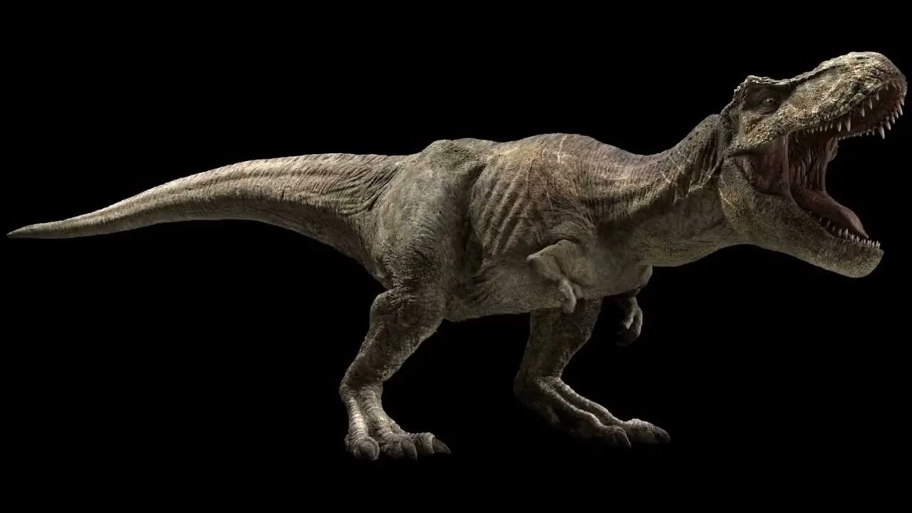 Парк Юрского периода Тиранозавр. Парк Юрского периода 3 Тиранозавр рекс. Тираннозавр мир Юрского периода 3.