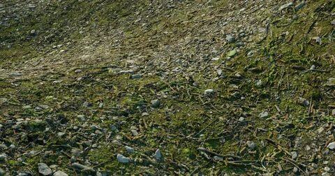 Ground environment