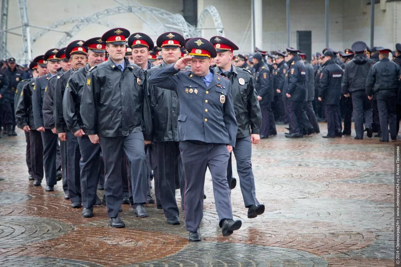 Полицейские на параде. Полицейские в строю. Построение полицейских. Полицейские в строю. Полиция россии парад.