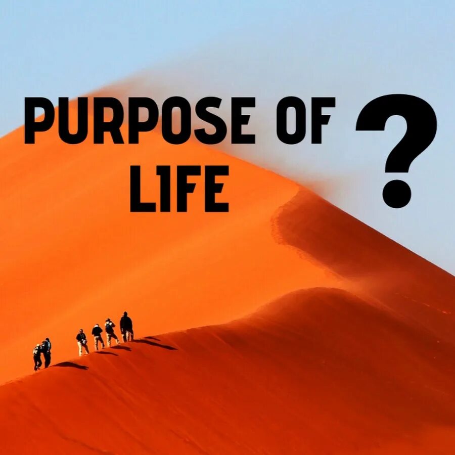 Purpose of life is. Life purpose. Purpose.