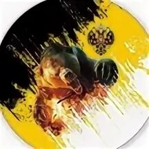 Imperial bears