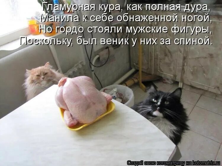 Совесть кота