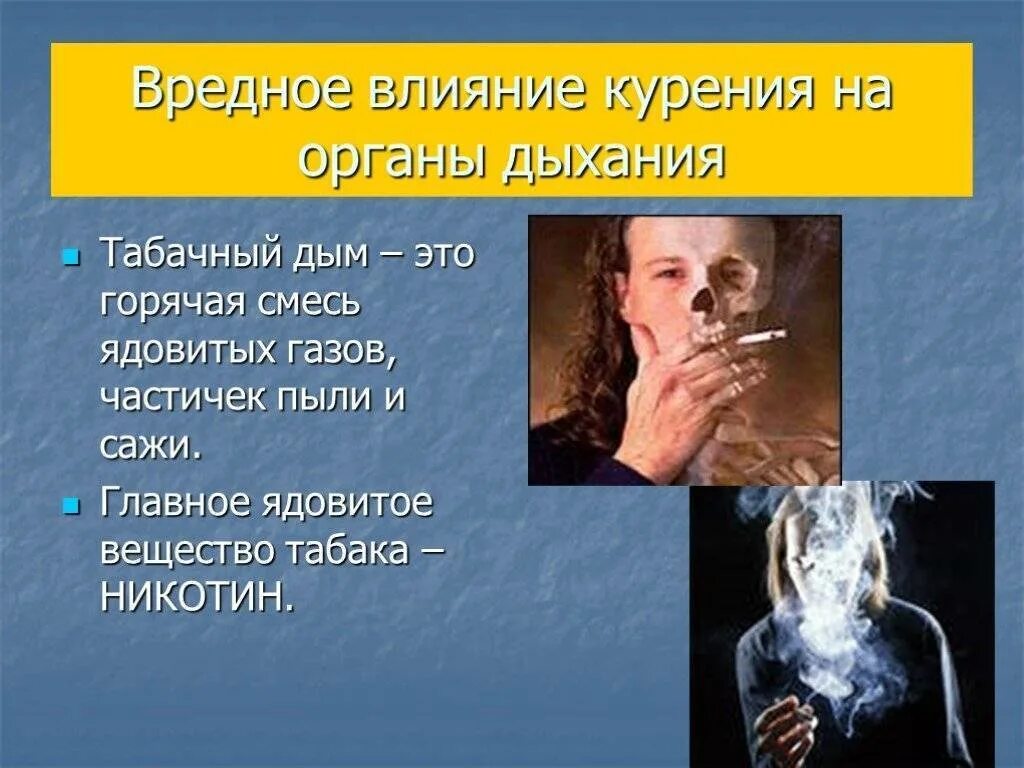 Как влияет табачный