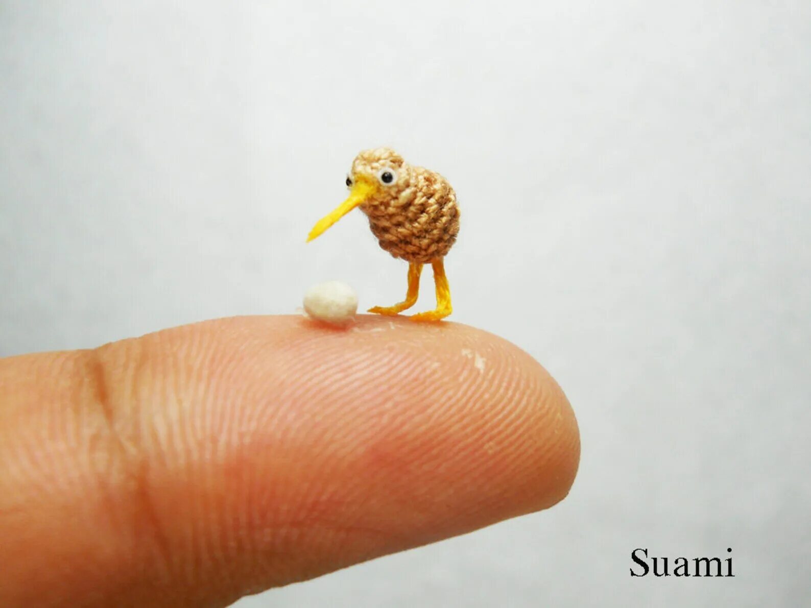 Tiny egg