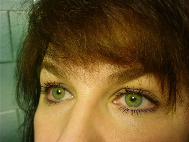 Настоящие зеленые глаза. Зелёные глаза фото настоящие. Зеленые глаза в реальной жизни. Покажи мне зелёные глаза.