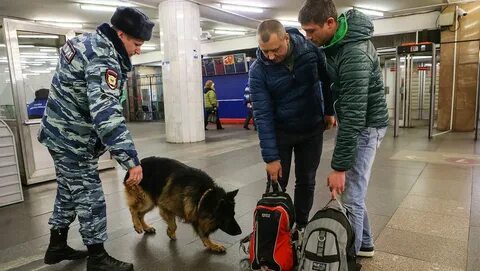 Безопасность обыска