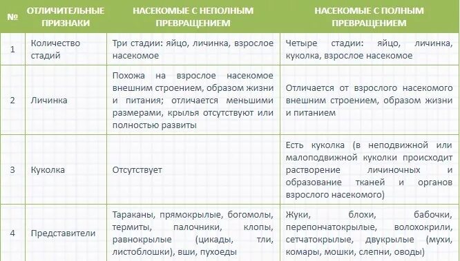 Полное превращение насекомых таблица. С полным и неполным превращением таблица. Таблица развитие с неполным превращением и полным превращением. Насекомые с полным и неполным превращением таблица. Насекомые с полным и неполным превращением таблица 7 класс.