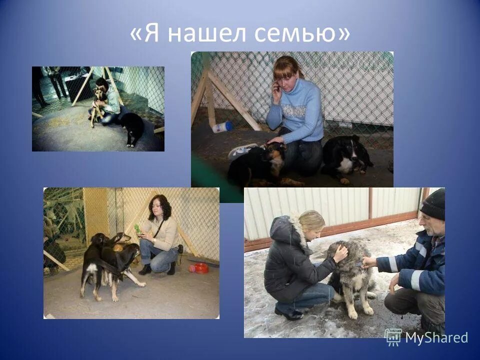 За гуманное отношение к животным. Гуманный к животным. Гуманное отношение к животным. Бережное отношение к животным. Гуманное отношеник животным.