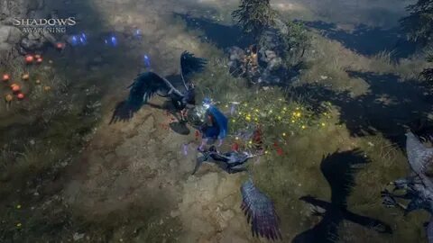 Shadows awaken