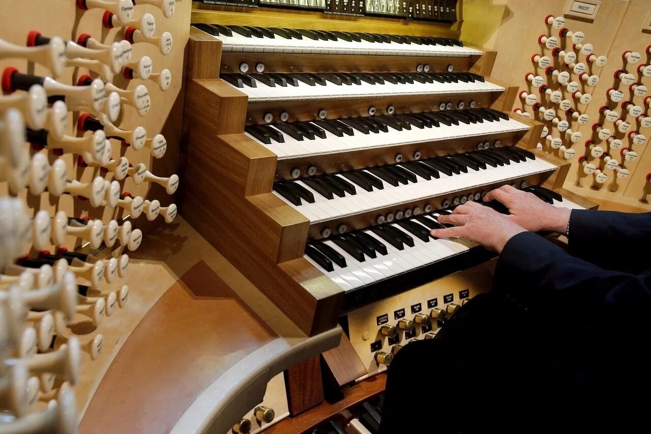 Magic organ. Органист музыкальный инструмент. Человек играющий на органе.
