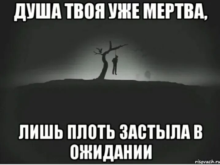 Сломана моя душа зачем в нее полез. Сучьи статусы. Душа твоя уже мертва. Цитаты для убитых изнутри.