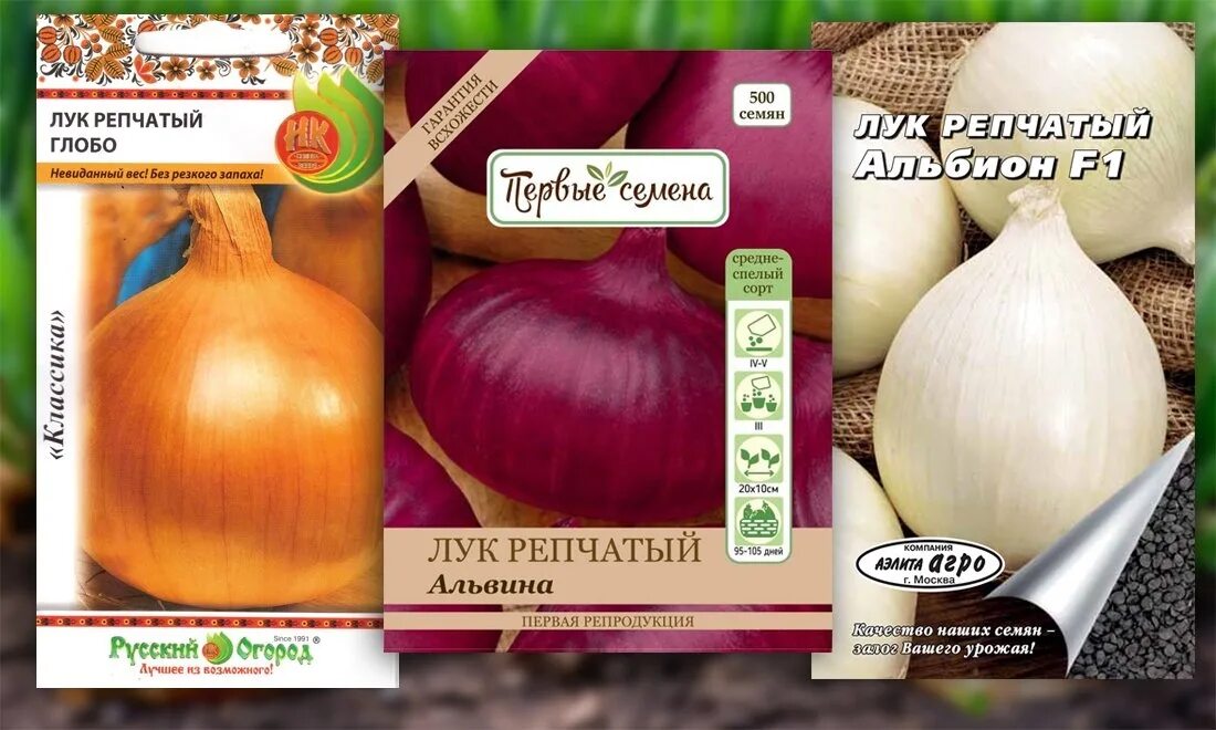 Лук вольф f1 (50 шт. Лук на зелень эверест. Семена лука. Лук флагман описание. Лук флагман.