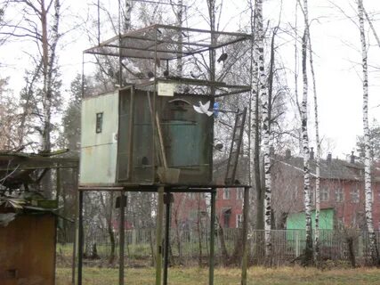 Голубятня в орехове