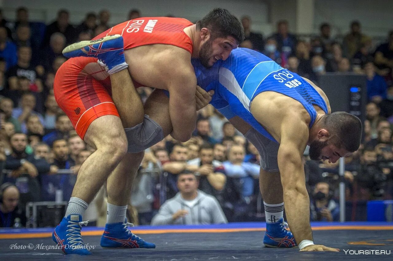 Борец Абдулрашид Садулаев. Абдулрашид Садулаев Олимпийский чемпион. Абдулрашид Садулаев Вольная борьба.