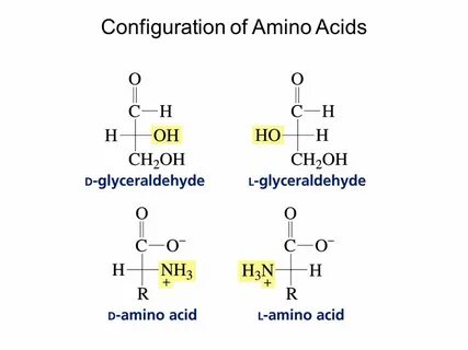 Amino acid
