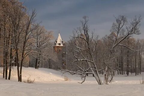 Зимний в пушкине
