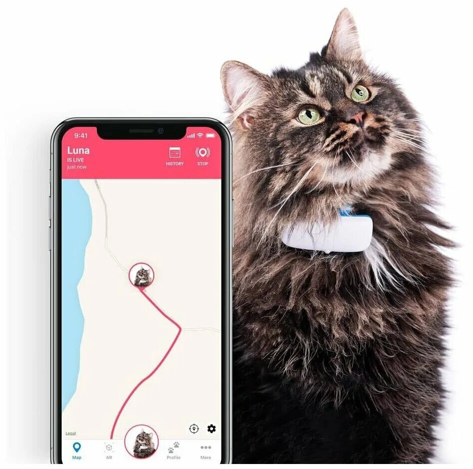 Gps tracker для кошек. жпс трекер для кошек. ошейник с датчиком местонахождения для кошек. ошейник pet gps-трекер. ошейник для собак с gps трекером.