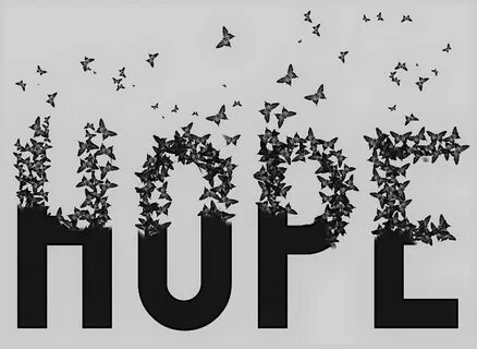 Hope on hope off