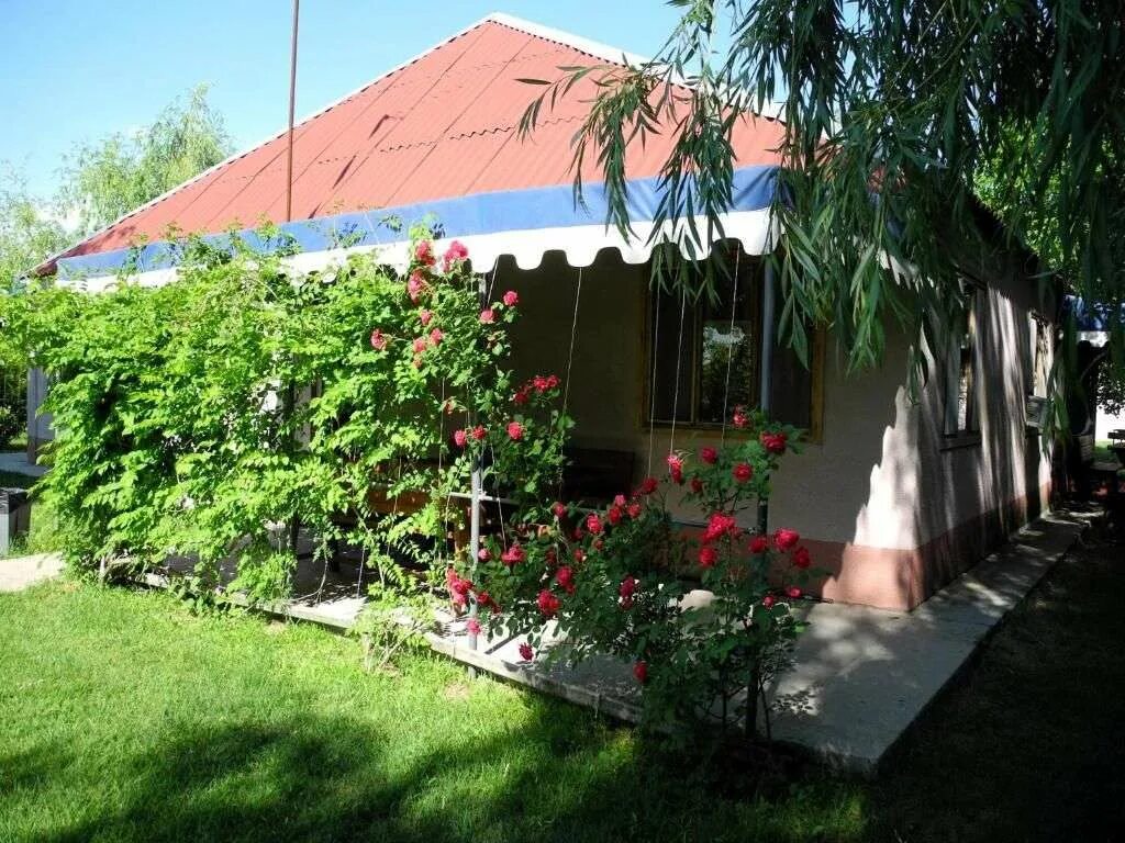 Турбаза бережок астрахань. Турбаза бережок царевщина. Бережок астрахань. База бережок астрахань. Турбаза бережок астрахань.