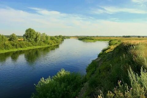 Курское омская область