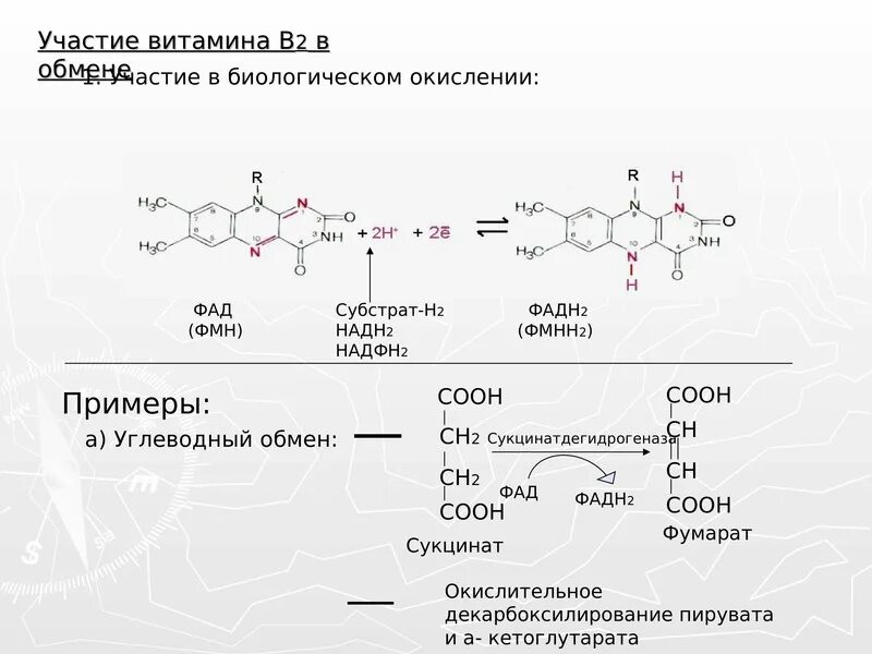 Витамин c реакции. Реакция витамина в2 с участием коферментов реакция. витамин в2 участие в реакция с коферментом. витамин b2 кофермент. витамин b2 кофермент биохимия.