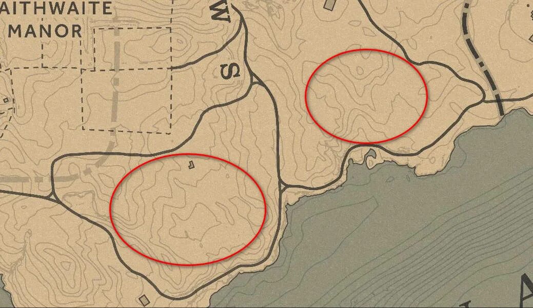 Rdr 2 пантера на карте. Гиагуаро рдр 2. Гиагуаро rdr 2. Рдр 2 пантера на карте. Rdr 2 пума на карте.