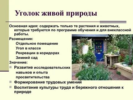 Угол жив