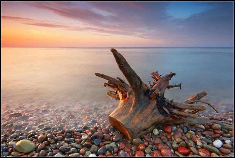 Коряга в море. Коряга на берегу. Море после шторма. Закат на берегу моря с корягой. Коряги на берегу