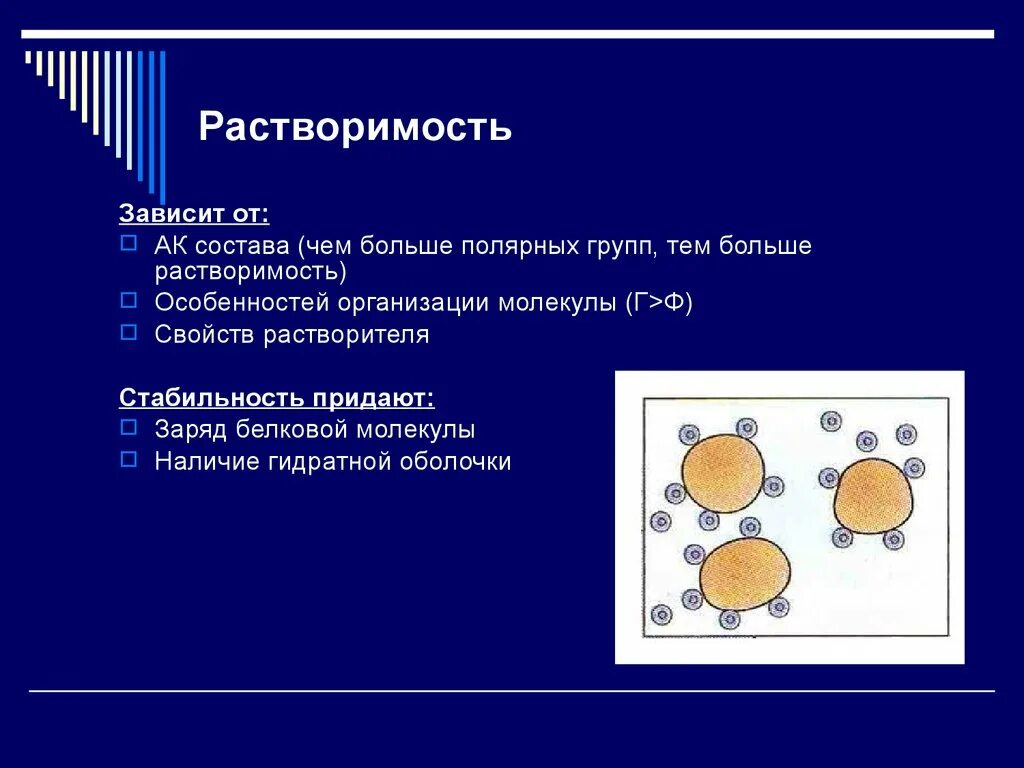 Растворение зависит от. Растворимость зависит от. Растворимость белков зависит. Растворимость белков зависит от. Растворимость белков зависит от всех условий кроме:.